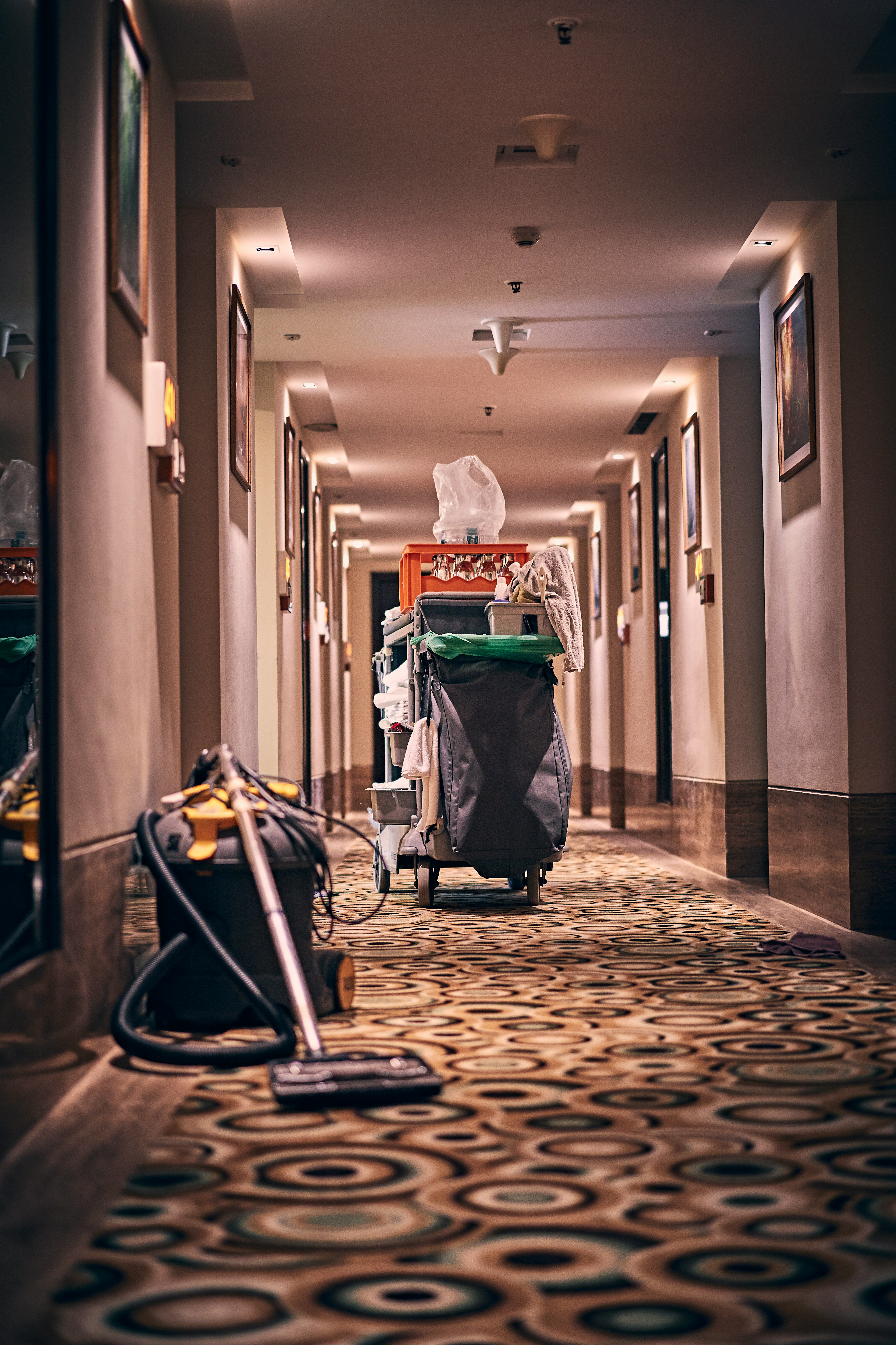 Hallway Floor Care